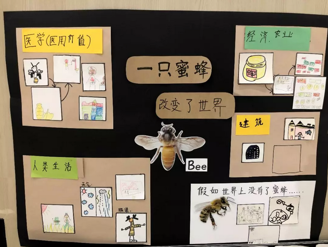 一只蜜蜂改变了世界