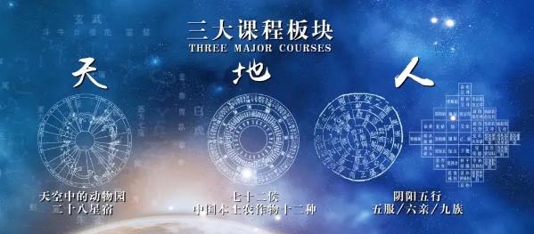 鼎点娱乐课程